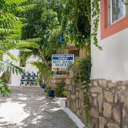 Hostel Sofia *