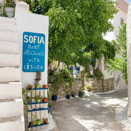 Hostel Sofia Pitsidia